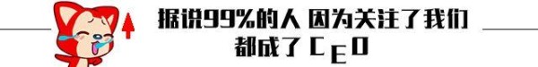 刘亦菲因《花木兰》地位猛升