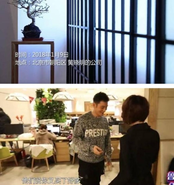明星工作室长啥样？刘雯是艺术展览区，刘涛为什么有那么多马