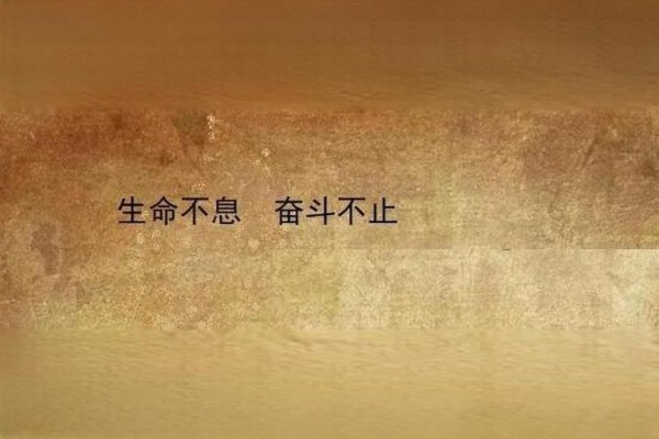 明星工作室的优势和挑战