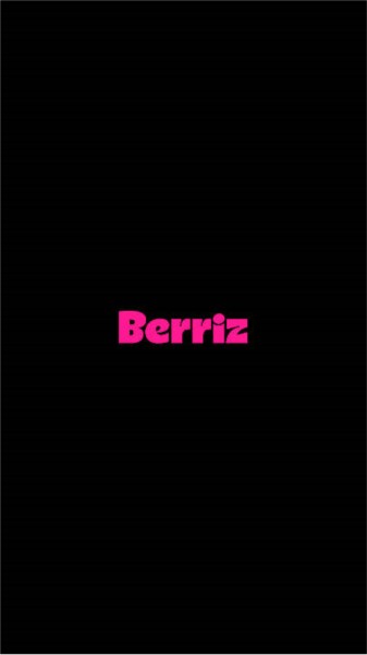 Berriz图片1