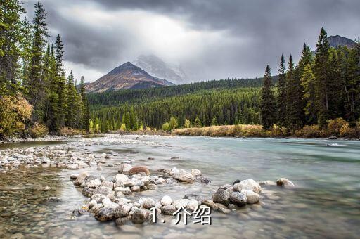 1. 介绍