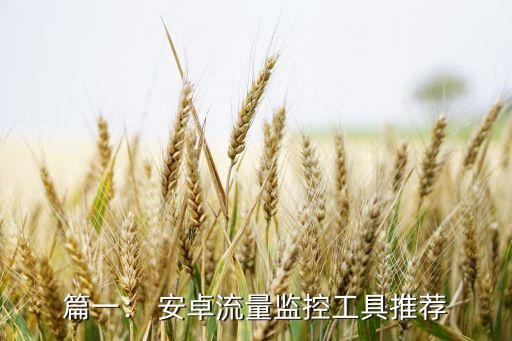 篇一： 安卓流量监控工具推荐