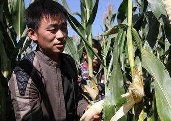 农村出来的那些明星,在老家一点架子都没有,你能认出那个是陈晓