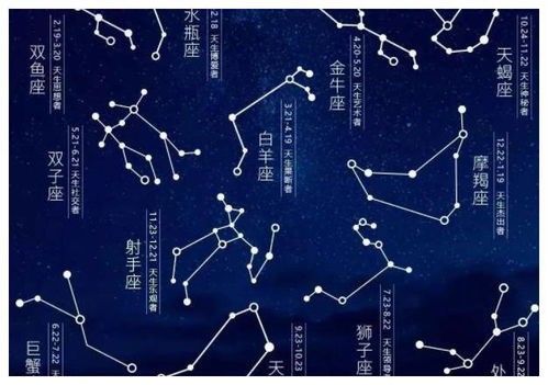 探索生肖星座奥秘:占星入门指南,尽在占星网