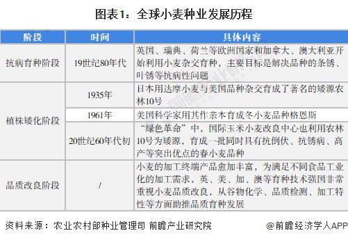 2022年中国小麦种业市场现状及发展趋势分析 优质专用型、抗逆广适型、资源节约型品种或为重点发展方向