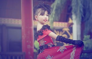 杨紫中餐厅裙子品牌，明星效应下的时尚新宠儿