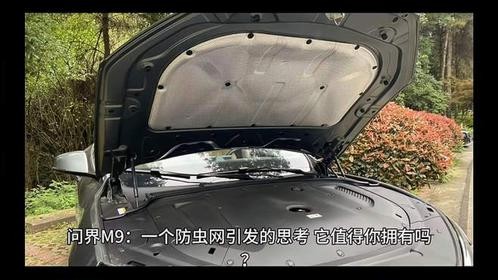 问界M9：一个防虫网引发的思考，它值得你拥有吗？