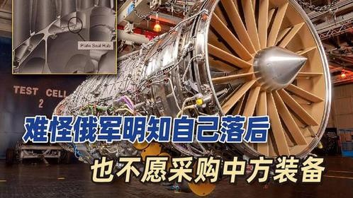 大鹅专家说出实情，难怪俄军明知自己落后，也不愿采购中方装备