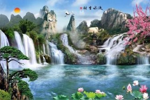 微博粉丝为何都是星座 为什么微博粉丝