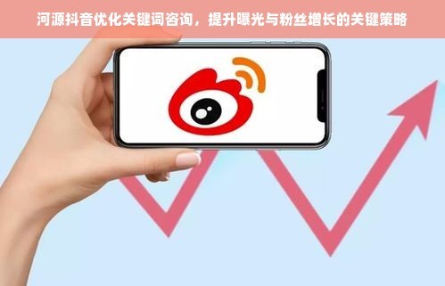 河源抖音优化关键词咨询，提升曝光与粉丝增长的关键策略