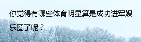 你觉得有哪些体育明星算是成功进军娱乐圈了呢？