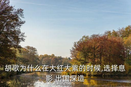 胡歌为什么在大红大紫的时候,选择息影 出国深造
