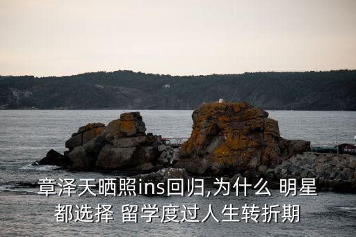 章泽天晒照ins回归,为什么 明星都选择 留学度过人生转折期