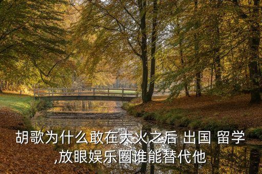 胡歌为什么敢在大火之后 出国 留学,放眼娱乐圈谁能替代他