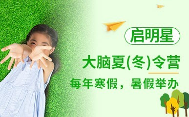 大脑夏(冬)令营缩略图