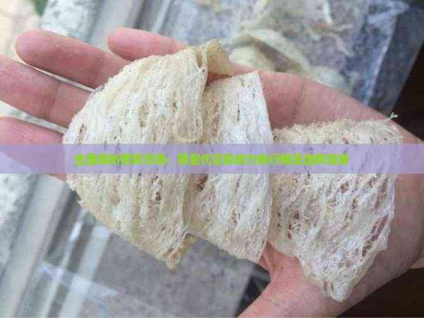 全面解析燕窝市场：明星代言影响力排行榜及选购指南