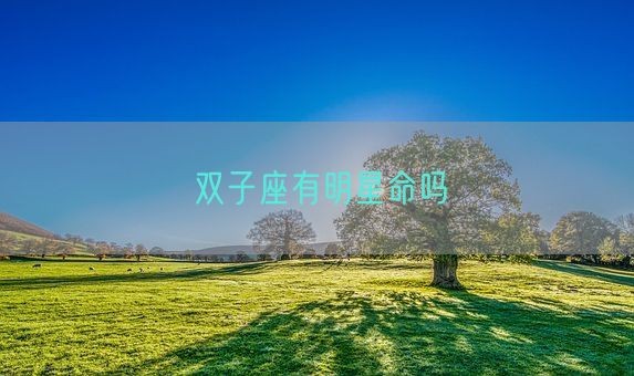 双子座有明星命吗(图1)