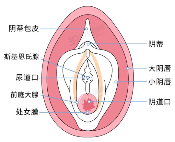 处女座男明星盘点处女座男星处女男新浪时尚新浪(处女座膜)
