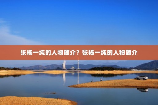张杨一纯的人物简介？张杨一纯的人物简介