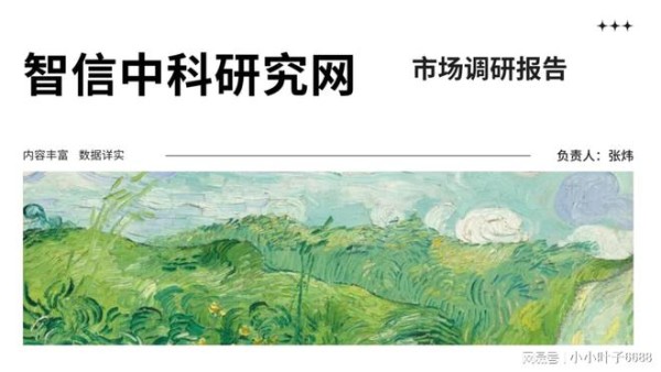 全球高纯氧化镁市场供需形势分析与竞争策略研究报告2025