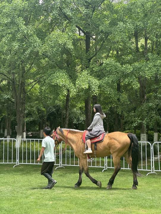 “骑”乐无穷 马术体验活动受欢迎