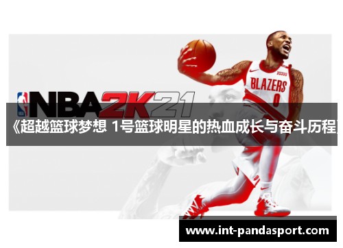 《超越篮球梦想 1号篮球明星的热血成长与奋斗历程》