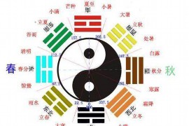 双子座男明星的璀璨星途