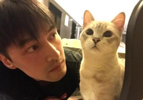 四位当红男星外号出处：胡歌叫胡猫，林更新叫林狗，图4的最搞笑