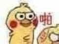 现在明星都流行diss自己角色了吗？秦岚吐槽知画就是绿茶婊……