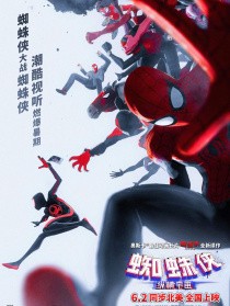 蜘蛛侠:纵横宇宙