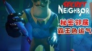 【小臣实况】霸王色运气-秘密邻居联机