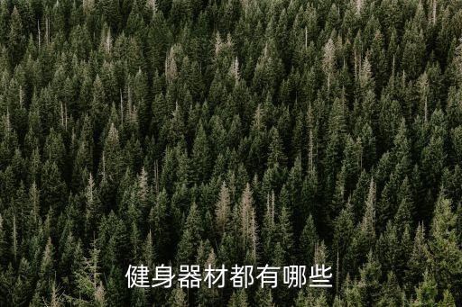 健身器材都有哪些