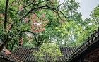 老祖宗留下的院子，才是顶级审美！