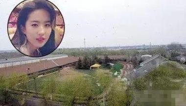 明星家的豪宅,杨洋家温馨,刘亦菲家会迷路,热巴家最接地气