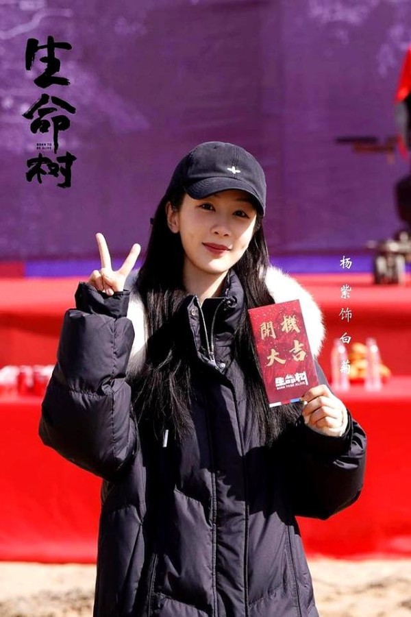 原来《生命树》一切都是有迹可循！杨紫天选白菊！