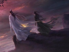 皓衣行 陈飞宇