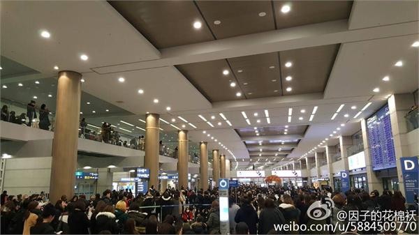 许魏洲韩国
