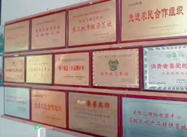 “三德子”赵亮养鸡成功，身价不菲，带领众多农民脱贫