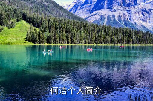何洁个人简介