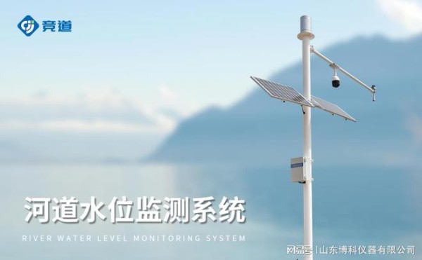 实时流量监测与分析：构建高效的在线监测系统