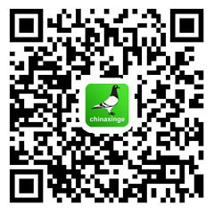 问题博士（国际）鸽业