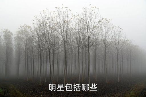 明星包括哪些