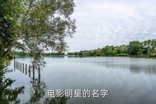 电影明星的名字