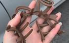 15个生活冷知识，希望大家永远不生病！
