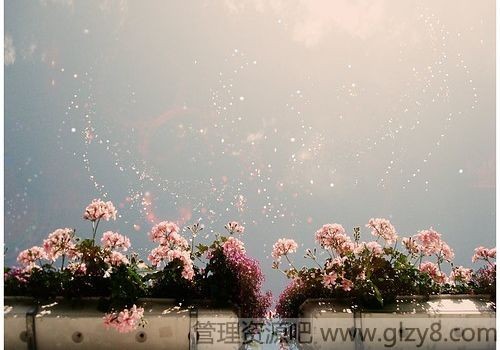 明星都是怎么求婚的