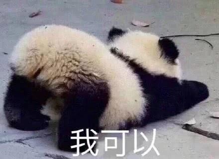 记得那些出圈的综艺梗吗？看看你的爱豆是不是段子手