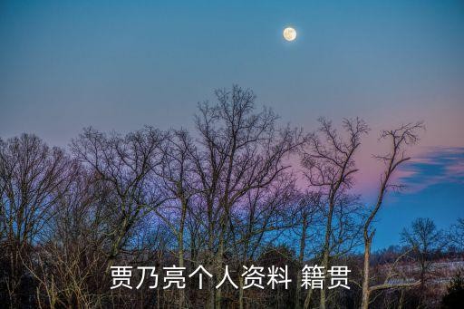 贾乃亮个人资料 籍贯
