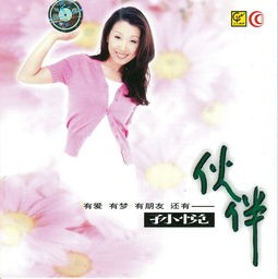 孙悦《伙伴》音乐专辑，于1996年制作发行