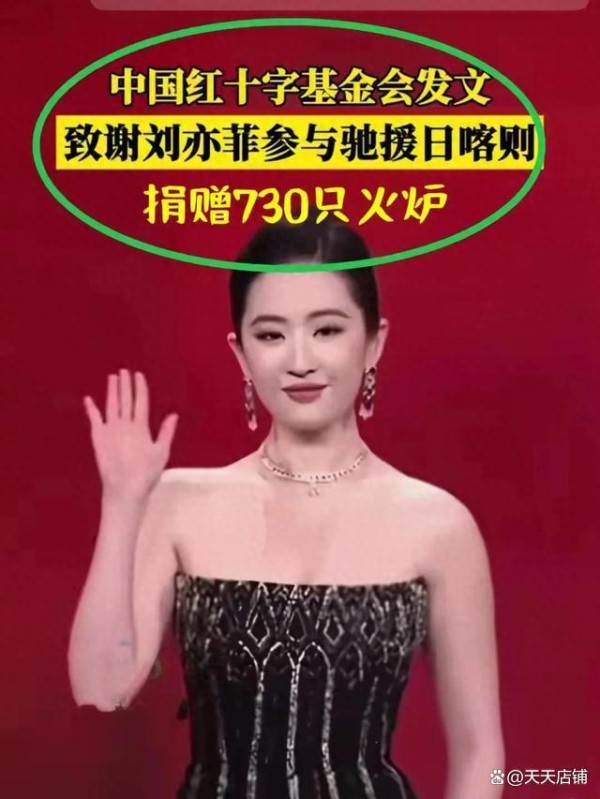 很实用，红十字会感谢刘亦菲捐730只取暖火炉，网友夸她很聪明