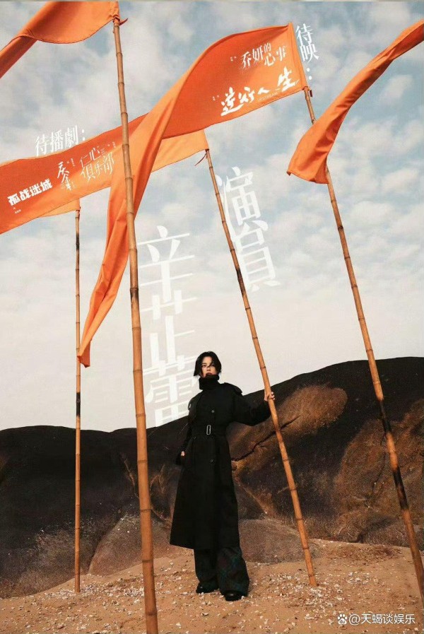 辛芷蕾意外音频成热门，网友力捧“新晋歌坛新星”！